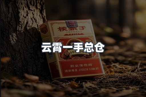 云霄一手总仓